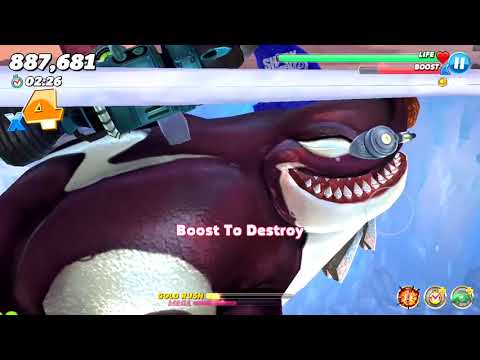 Killer Whale Contest (Eat Seals in Arctic Ocean) - Hungry Shark World