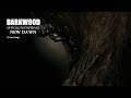 Darkwood OST - New Dawn (1 hour)