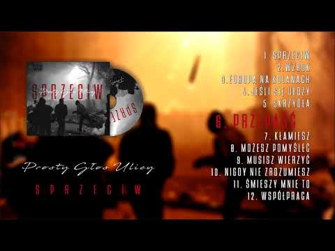 PGU - PRZEPAŚĆ (SPRZECIW 2017)   PROD. BITUBEATZ