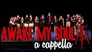 "Awake My Soul" (Mumford & Sons) - Twisted Measure A Cappella