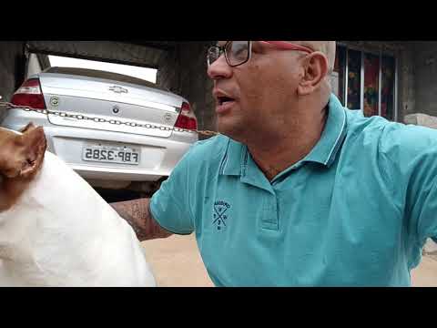 Repórter Favela recebe um Beijo de Saudade