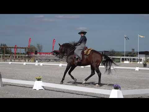 Prova Ensino Nicole Silva e Habil de Sena - Golega