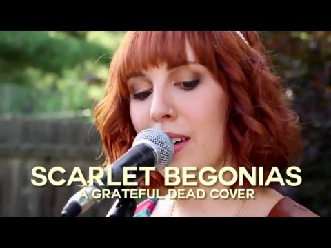 Scarlet Begonias (Grateful Dead) :: Savannah & The Kings :: DeadCoversProject