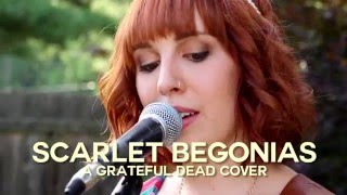 Scarlet Begonias (Grateful Dead) :: Savannah &amp; The Kings :: DeadCoversProject