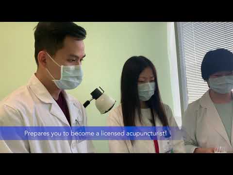 Play Video Youtube Video