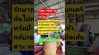 Download lagu #remix #dj #edm #music #sound #automobile #plants #colonelkkjϟ #thaifood #mindset mp3 Download lagu #remix #dj #edm #music #sound #automobile #plants #colonelkkjϟ #thaifood #mindset mp3