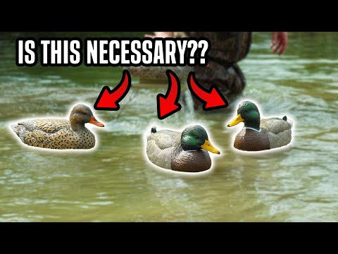 Did we REALLY Need ANOTHER Floating Mallard?? (Rig Em' Right Mainline Series Mallard - 6 Pack)