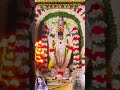 Thenkudi Thittai GURU BHAGAVAN Extremely Very Powerful Gives You Happy Healthy Life