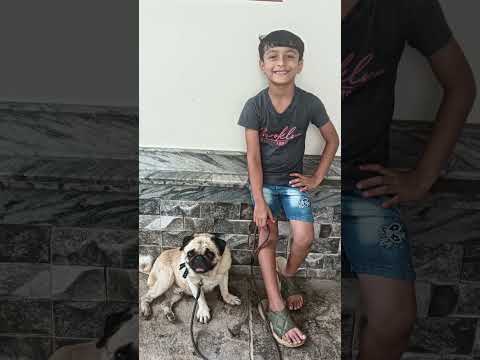 𝗺𝗮𝘀𝘁𝗲𝗿 𝗼𝗳 𝗰𝗵𝗼𝗸𝗼