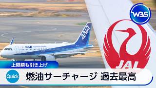 燃油サーチャージ 過去最高　上限額も引き上げ【WBS】