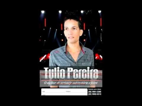 Tulio pereira 2015 move