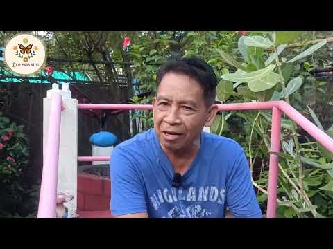 Wings of Wonder  Immerse Yourself in Marl Insects' Butterfly Culture!