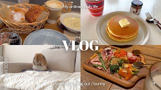 4月の切り抜き ✂︎ ひとり暮らしの日常vlog｜パンランチ🥖