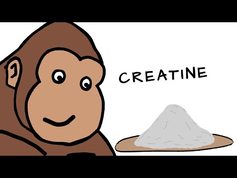 Creatine Explained By Ape 