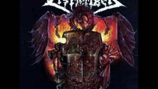 Dismember - Shadowlands