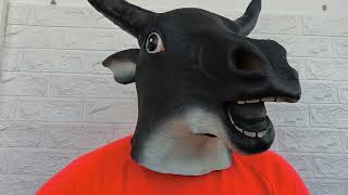 O Brasil parou hoje nas manifestações EAD de Bolsonaro e legião?