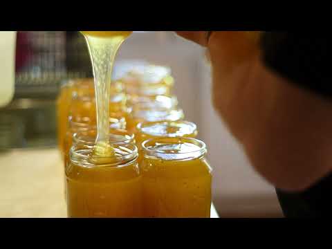 , title : 'Včely - vytáčení medu'
