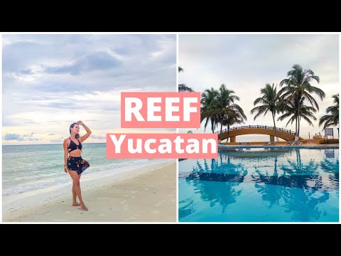 Videos del Reef Yucatán  Convention Center 5★ en Telchac Puerto, MéxicoVer MásVerPrecios15CerrarConsulta por Whatsapp 🇦🇷BookingTripadvisorExpediaTravelocityOrbitzPricelineTripSkyscannerDespegarKayakHotelesBestdayDestiniaTrivagoTurismocity