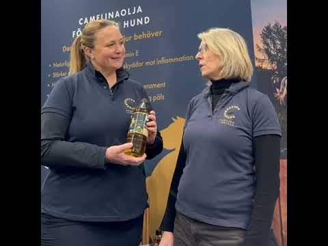 Camelina för häst & hund