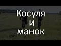 Охота на косулю с подхода
