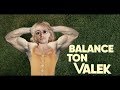 BALANCE TON VALEK