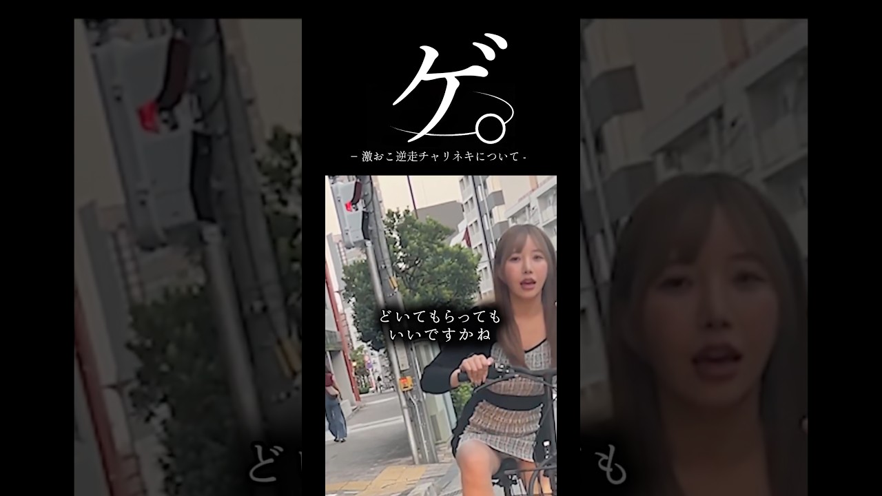 ゲ。− 激おこ逆走チャリネキについて -