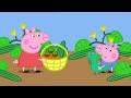 Peppa Pig S01E37 Lunch Peppa Pig English Episodes