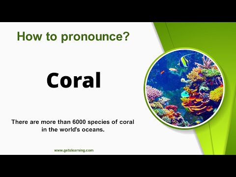 How to pronounce Coral Correctly in English