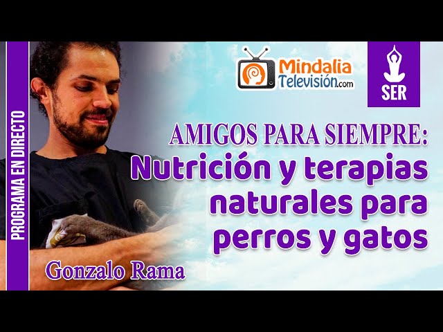 Vídeo relacionado con Terapias naturales para perros