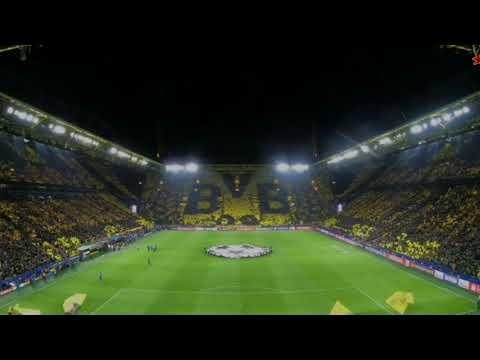 BVB TIFO