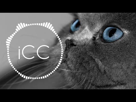 Zeper & J-Riv, Jedimix - Be My Brother (ft. Haze) - iCC