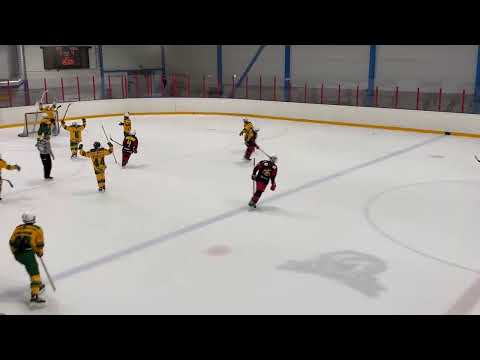 Jokerit 2 keltainen - Ilves vihreä