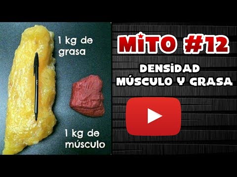 download lagu mp3 mp4 Que Pesa Mas El Musculo O La Grasa, download lagu Que Pesa Mas El Musculo O La Grasa gratis, unduh video klip Que Pesa Mas El Musculo O La Grasa