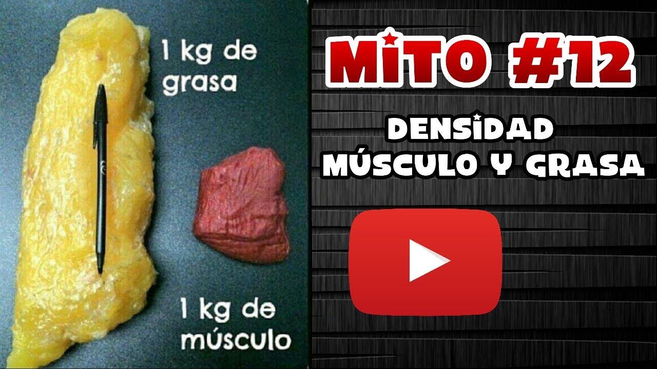 Watch El músculo pesa el triple que la grasa | Mito #12 Now El músculo pesa el triple que la grasa | Mito #12
