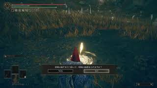 エルデンリング　DLC PS5 パート6