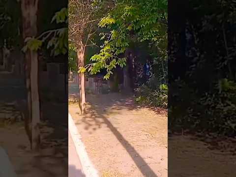 San Estèban, Punilla, Córdoba, Argentina.#sanesteban