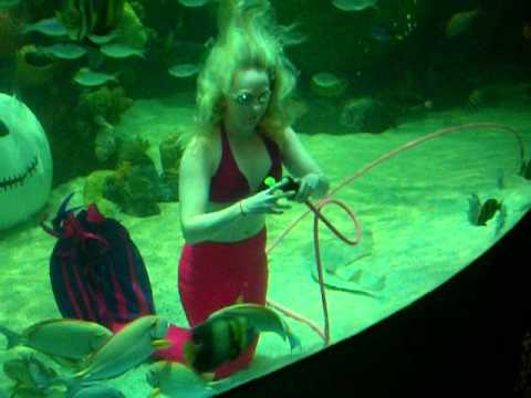 Las Vegas Blonde Mermaid Show - Silverton Hotel and Casino