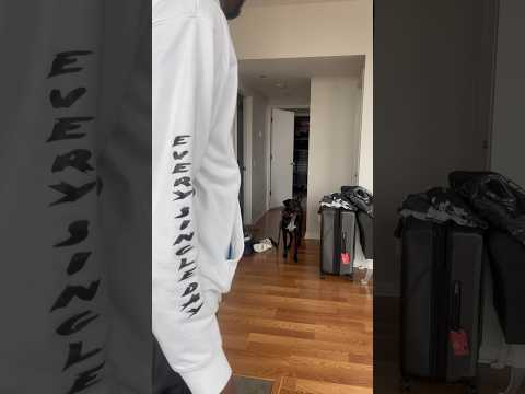 Teach your dog to respect your space!