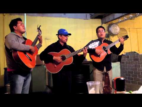 Tardes De Bohemia/Trio - El Libro