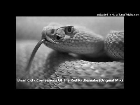Brian Cid - Confessions Of The Red Rattlesnake (Original Mix)