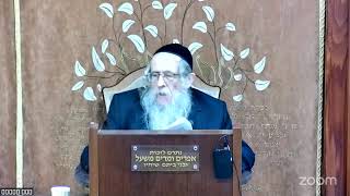 הרה"ג הרב וועכטר שליט"א כ"ז כסלו תשפ"ו - מאמר הרבי הריי"צ תש"ח ד"ה ויחלם והנה סלם מוצב ארצה (הרב אברהם מנחם מענדל וכטר) - התמונה מוצגת ישירות מתוך אתר האינטרנט יוטיוב. זכויות היוצרים בתמונה שייכות ליוצרה. קישור קרדיט למקור התוכן נמצא בתוך דף הסרטון