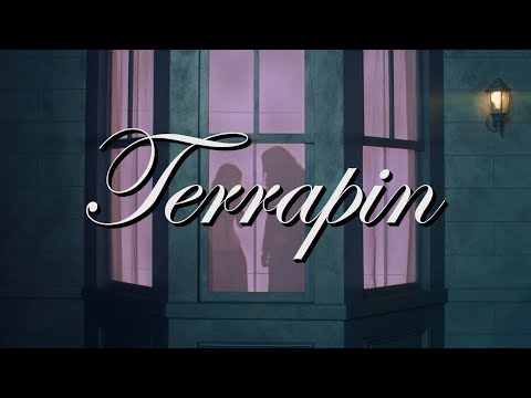 Video thumbnail for Terrapin