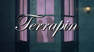 Cover art for Terrapin