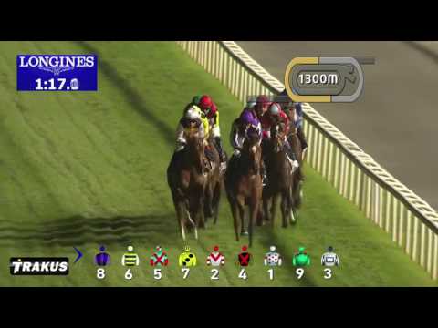 DWC 2016 Race 8 - Dubai Sheema Classic Presented By Longines