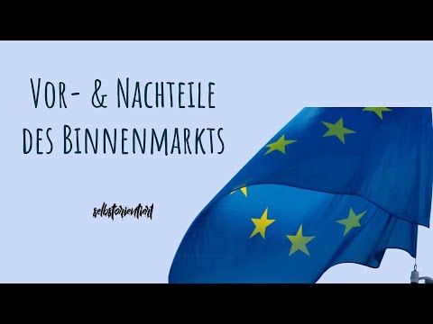 Advantages & Disadvantages of the European Single Market Simply Explained! - Definition | Fundame...