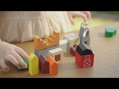 PlanToys | 5546 Country Blocks