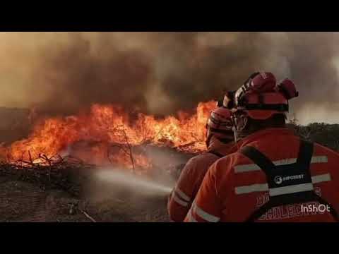 Hoy es el aniversario de los bomberos de sauce corrientes