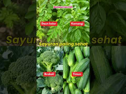 Rempah, Sayur & Buah Paling Sehat. Sudah Ada di Dapur Bunda Belum? #ibudanayah