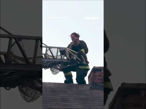 Firefighters rescue puppy STUCK in chimney #shorts #us #puppy #news #foxnews #viral