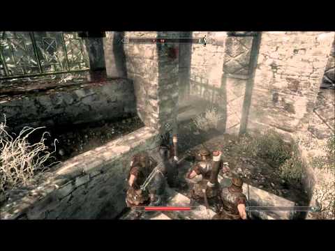 Taking over Windhelm (The last mission for the imperial army) in Skyrim.